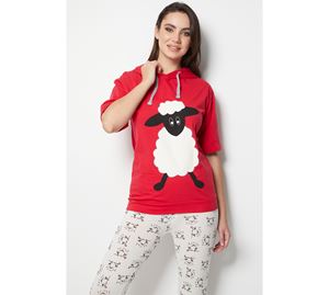 Miorre Fashion