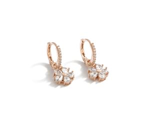 Miu Collection