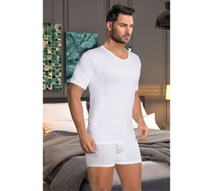 Miorre Fashion