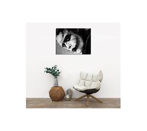 Wall Decoration Vol.1