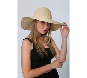 Abigail Fashion Accessories