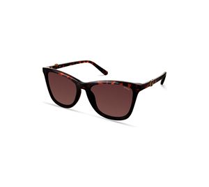 Guess Sunglasses