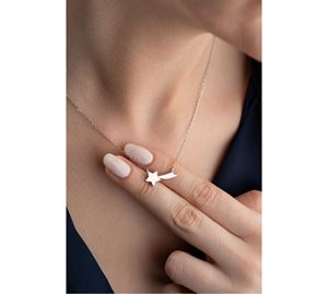 Jewels Shop Vol.1