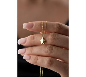 Jewels Shop Vol.1
