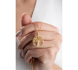 Jewels Shop Vol.1