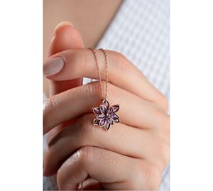 Jewels Shop Vol.1