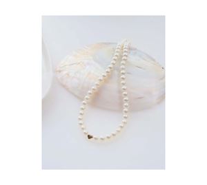 Jewels Shop Vol.1