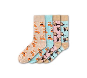 Homewear & Underwear Bazaar Vol.2