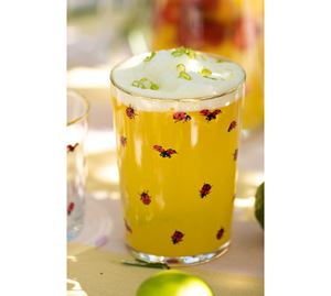 Kitchen Offers