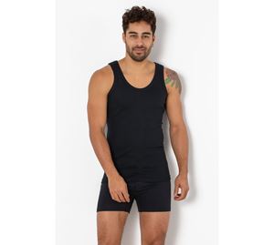 Miorre Fashion