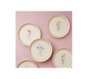 Kitchen Offers