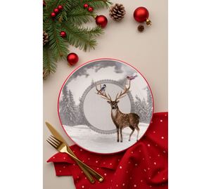 Kitchen Offers