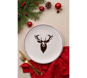 Kitchen Offers