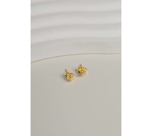 Jewels Shop Vol.2