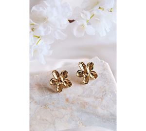 Jewels Shop Vol.1