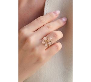 Jewels Shop Vol.1