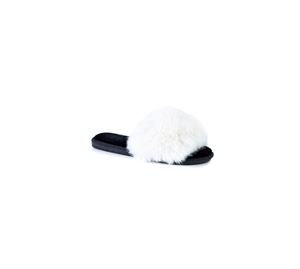 Funky Steps Slippers