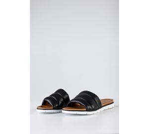 Musk Shoes