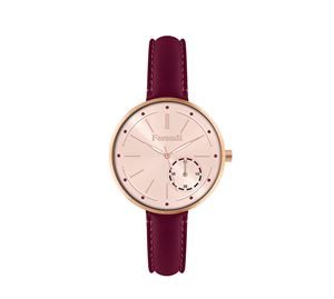Decerto & Ferendi Watches